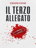 Il terzo allegato (eBook, ePUB)