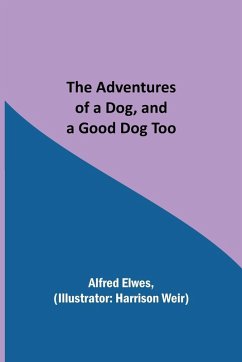 Cover The Adventures of a Dog, and a Good Dog Too