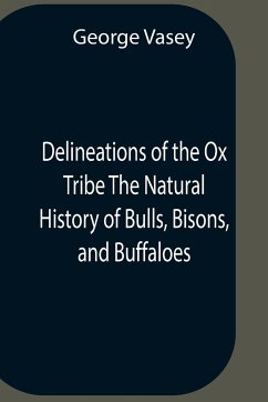 Delineations Of The Ox Tribe The Natural History Of Bulls, Bisons, And Buffaloes. Exhibiting All The Known Species And The More Remarkable Varieties Of The Genus Bos. - George Vasey