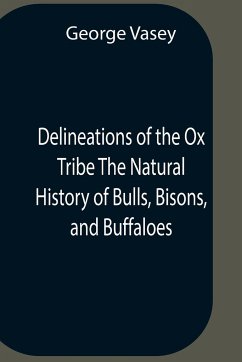 Cover Delineations Of The Ox Tribe The Natural History Of Bulls, Bisons, And Buffaloes. Exhibiting All The Known Species And The More Remarkable Varieties Of The Genus Bos.
