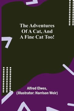 The Adventures of a Cat, and a Fine Cat Too! - Elwes, Alfred