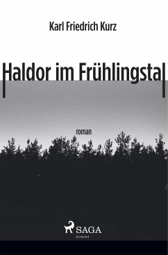 Haldor im Frühlingstal - Kurz, Karl Friedrich