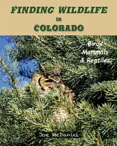 Finding Wildlife In Colorado - McDaniel, Joe G