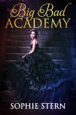 Big Bad Academy (eBook, ePUB)