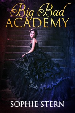 Big Bad Academy (eBook, ePUB) - Stern, Sophie