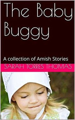 Cover The Baby Buggy A Collection of Amish Stories (eBook, ePUB)