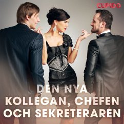 Cover Den nya kollegan, chefen och sekreteraren (MP3-Download)