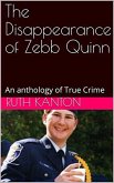 The Disappearance of Zebb Quinn (eBook, ePUB)