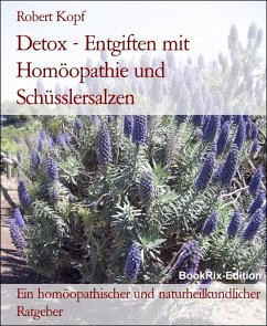 Detox - Entgiften mit Homöopathie und Schüsslersalzen (eBook, ePUB) - Kopf, Robert