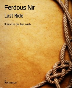 Last Ride (eBook, ePUB) - Nir, Ferdous