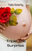 Triple The Surprise (eBook, ePUB)