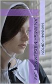 An Amish Midsummer Day (eBook, ePUB)