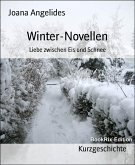 Winter-Novellen (eBook, ePUB)