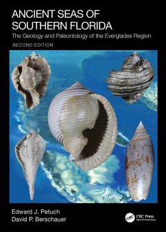 Cover Ancient Seas of Southern Florida (eBook, ePUB)