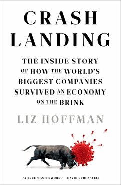 Crash Landing (eBook, ePUB) - Hoffman, Liz