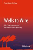Wells to Wire (eBook, PDF)