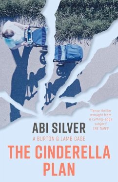 The Cinderella Plan - Silver, Abi