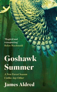 Goshawk Summer - Aldred, James