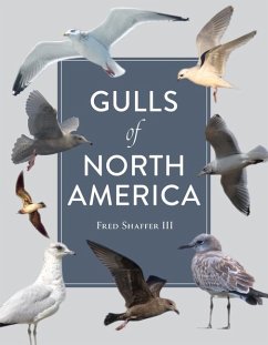 Cover Gulls of North America