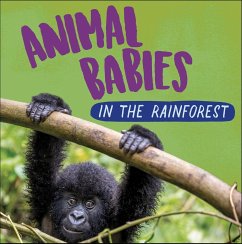 Animal Babies: In the Rainforest - Ridley, Sarah