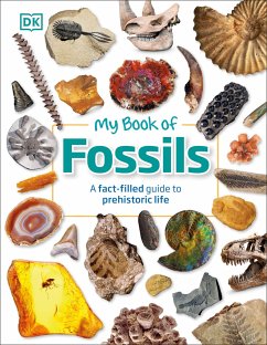 My Book of Fossils - DK; Lomax, Dean R.
