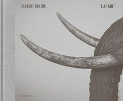 Elephant - Baheux, Laurent