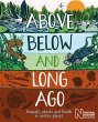 Above, Below and Long Ago - Bild 1