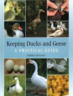Keeping Ducks and Geese - Kingsley, Debbie