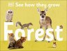 See How They Grow Forest - Bild 1