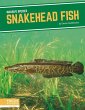 Snakehead Fish - Bild 1