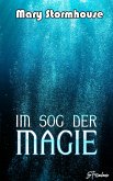 Im Sog der Magie (eBook, ePUB)