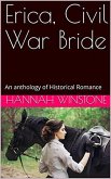 Erica, Civil War Bride (eBook, ePUB)