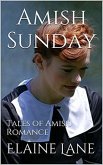 Amish Sunday (eBook, ePUB)