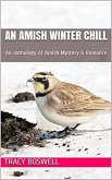 An Amish Winter Chill (eBook, ePUB)