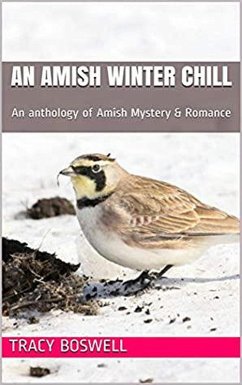 Cover An Amish Winter Chill (eBook, ePUB)