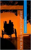Amish Love On The Run (eBook, ePUB)