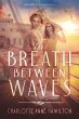 The Breath Between Waves (eBook, ePUB) - Bild 1