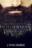 Wilderness: Midnight Sun 1 (eBook, ePUB)