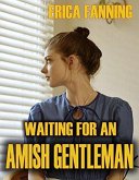 Waiting for an Amish Gentleman (eBook, ePUB)
