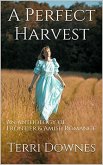 A Perfect Harvest (eBook, ePUB)