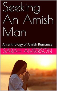 Cover Seeking An Amish Man (eBook, ePUB)