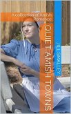 Quiet Amish Towns (eBook, ePUB)