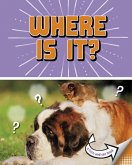 Where Is It? Where Is It?