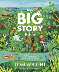 Cover My Big Story Bible