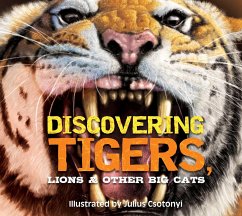 Discovering Tigers, Lions and Other Cats - Thomas Nelson