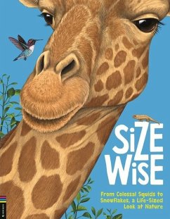 Size Wise - Bedoyere, Camilla de la