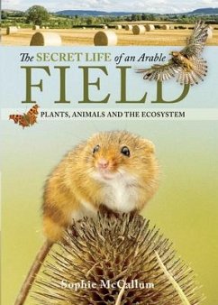 The Secret Life of an Arable Field - McCallum, Sophie