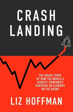 Crash Landing - Hoffman, Liz