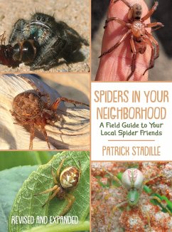 Spiders in Your Neighborhood - Stadille, Patrick