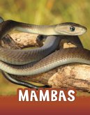 Mambas